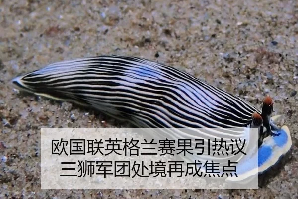 欧国联英格兰赛果引热议 三狮军团处境再成焦点