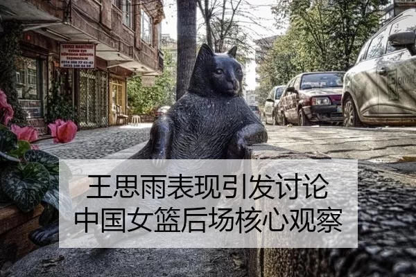 王思雨表现引发讨论 中国女篮后场核心观察